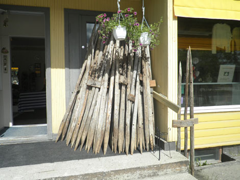Karpalo-kirppis